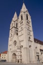 Cathedral in Wiener Neustadt Austria Royalty Free Stock Photo