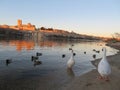 Cathedral Zamora romanesque architecture river ducks city tourism visit Royalty Free Stock Photo