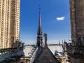Cathedrale Notre Dame de Paris cite - catholic dome Royalty Free Stock Photo