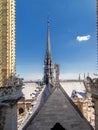 Cathedrale Notre Dame de Paris cite - catholic dome Royalty Free Stock Photo