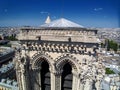 Cathedrale Notre Dame de Paris cite - catholic dome Royalty Free Stock Photo