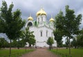 At the Catherine Cathedral cloudy July day. Tsarskoye Selo