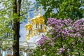 Catherine palace church dome in Pushkin Tsarskoe Selo in spring, St. Petersburg, Russia