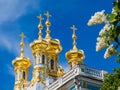 Catherine Palace in Pushkin, Saint Petersburg, Russia