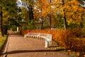 Catherine park in autumn foliage, Tsarskoe Selo (Pushkin), Saint Petersburg, Russia