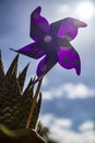 A Catherine wheel wind pinwheel Royalty Free Stock Photo