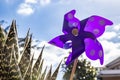 A Catherine wheel wind pinwheel Royalty Free Stock Photo