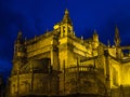 Cathedral of Saint Mary, Catedral de Santa Maria de la Sede in Seville, Spain Royalty Free Stock Photo