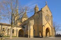 Catholic cathedral in trees