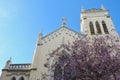 Catholic church of bright colour seen through the blooming tree at springtime in Madrid, Spain