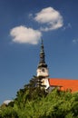 Catholic church in the town Nove mesto nad Vahom