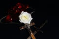 Catholic crucifix with silver chain and metal stiletto with medieval pattern on handle souvenirs, white rose and petals of red
