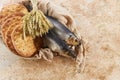 Catholic still life of five loaves of bread and two fish Royalty Free Stock Photo