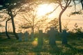 Stone crosses at sunset in German military cemetery, Europe