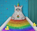 Caticorn ashen takes rainbow bath