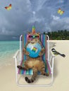 Caticorn on beach chair with donut Royalty Free Stock Photo
