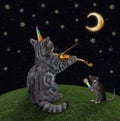 Caticorn gray plays the violin at night