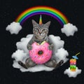 Caticorn gray sits on cloud with donut