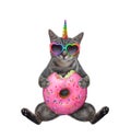 Caticorn gray sits with pink donut