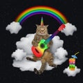 Caticorn playing guitar on cloud