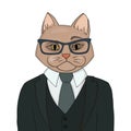 Catman in a suit with a tie. The human body is the head of a cat. Portrait of an important person.