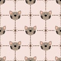 Catpattern Royalty Free Stock Photo