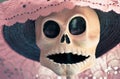 Catrina dia de muertos mexico day of the dead pink with black hat and white skull and black eyes