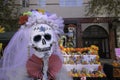 Catrina skeletons