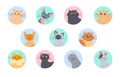 Cats avatars. Funny kittens of various breeds, user profile images. Isolated domestic cat vector set