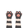 Cats background, kitten cartoon paws set, vector illustration Royalty Free Stock Photo