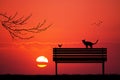 Cats and bird on bench at sunset
