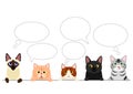 Cats border with speech bubbles