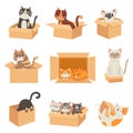 Cats in boxes. Cute stickers with cat sitting, sleeping and playing in cardboard box. Funny hiding kittens. Adopt Royalty Free Stock Photo