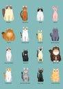 Cats breed