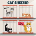 Cats in the cage in the cat shelter Royalty Free Stock Photo