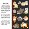 Cats cartoon characters ginger and grey kittens feline family