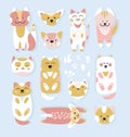 Cats cartoons - cute little kittens in pink and yellow shades on blue background Royalty Free Stock Photo