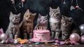 Cats celebrate birthdays using cake and birthday candles