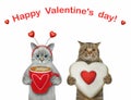 Cats celebrate valentines day