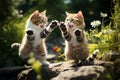 Claws Out Territorial Battles and Aggressive Rivalry Among Cats, Ai Generative