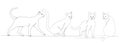 cats continuous line drawing, sketch Royalty Free Stock Photo