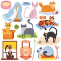 Cats of different breeds, set of stickers with cute kitty pets, vector illustration Royalty Free Stock Photo