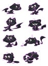 Cats with different expressions
