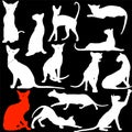 Cats in different poses, silhouettes. The cat lies, sits, stretches its back, hisses, plays, goes. Graceful animal. Use printed