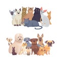 Cats and dogs border set, front view. Pets collection of cartoon illustrations