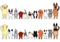 Cats and dogs border set