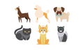 Cats and dogs of different breeds set, cute domestic animals, best friends vector Illustration