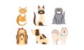 Cats and dogs of different breeds set, cute pets, domestic animals, best friends vector Illustration