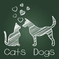 Cats Dogs Love Shows Compassion Puppy And Kitty