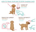 Cats and dogs training technique